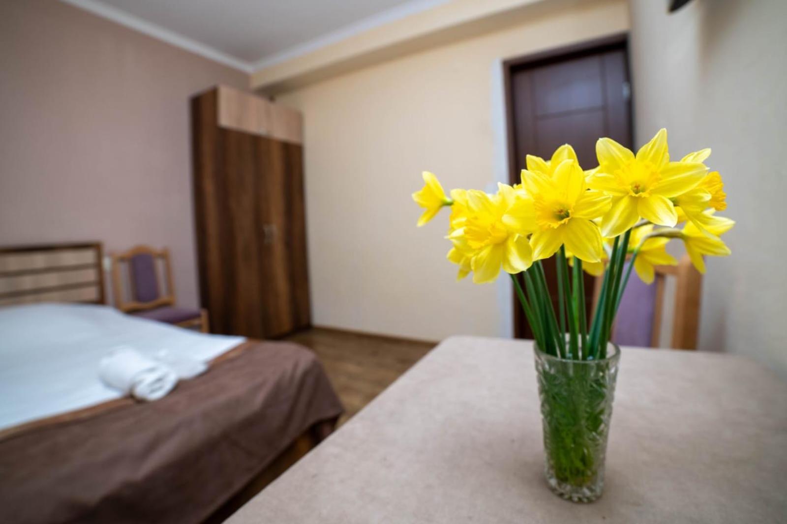 Guest House Kavkasioni 33 テラヴィ エクステリア 写真